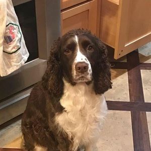 Meet your Posher, Bonnie